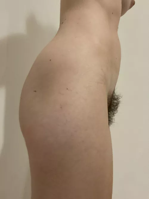 A bush from the side