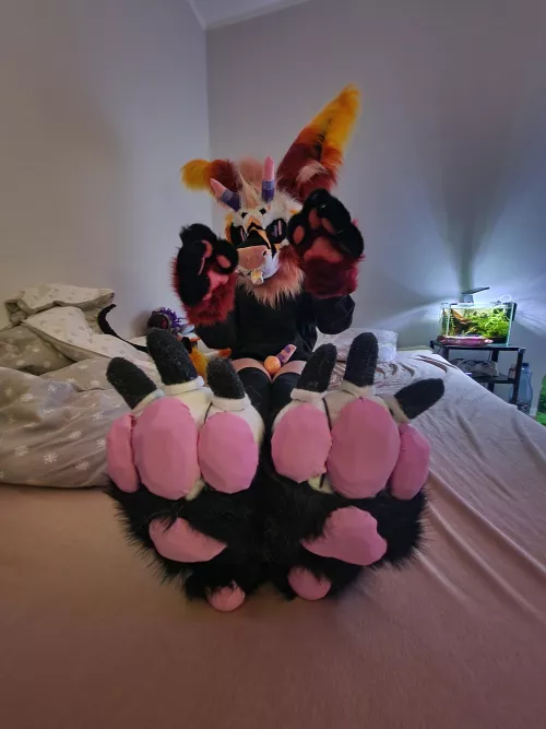 pawsssssssssssssssssssss