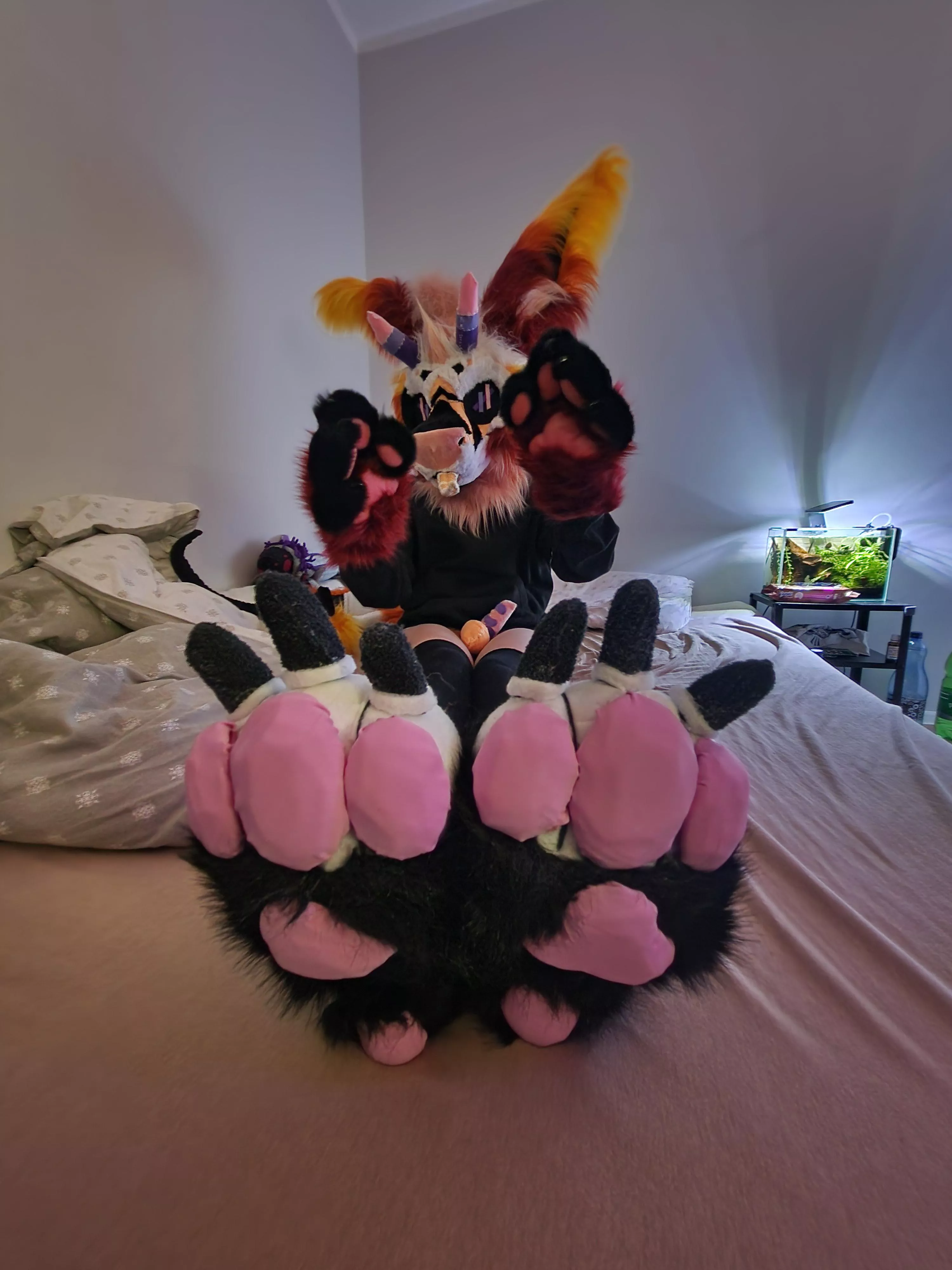 pawsssssssssssssssssssss