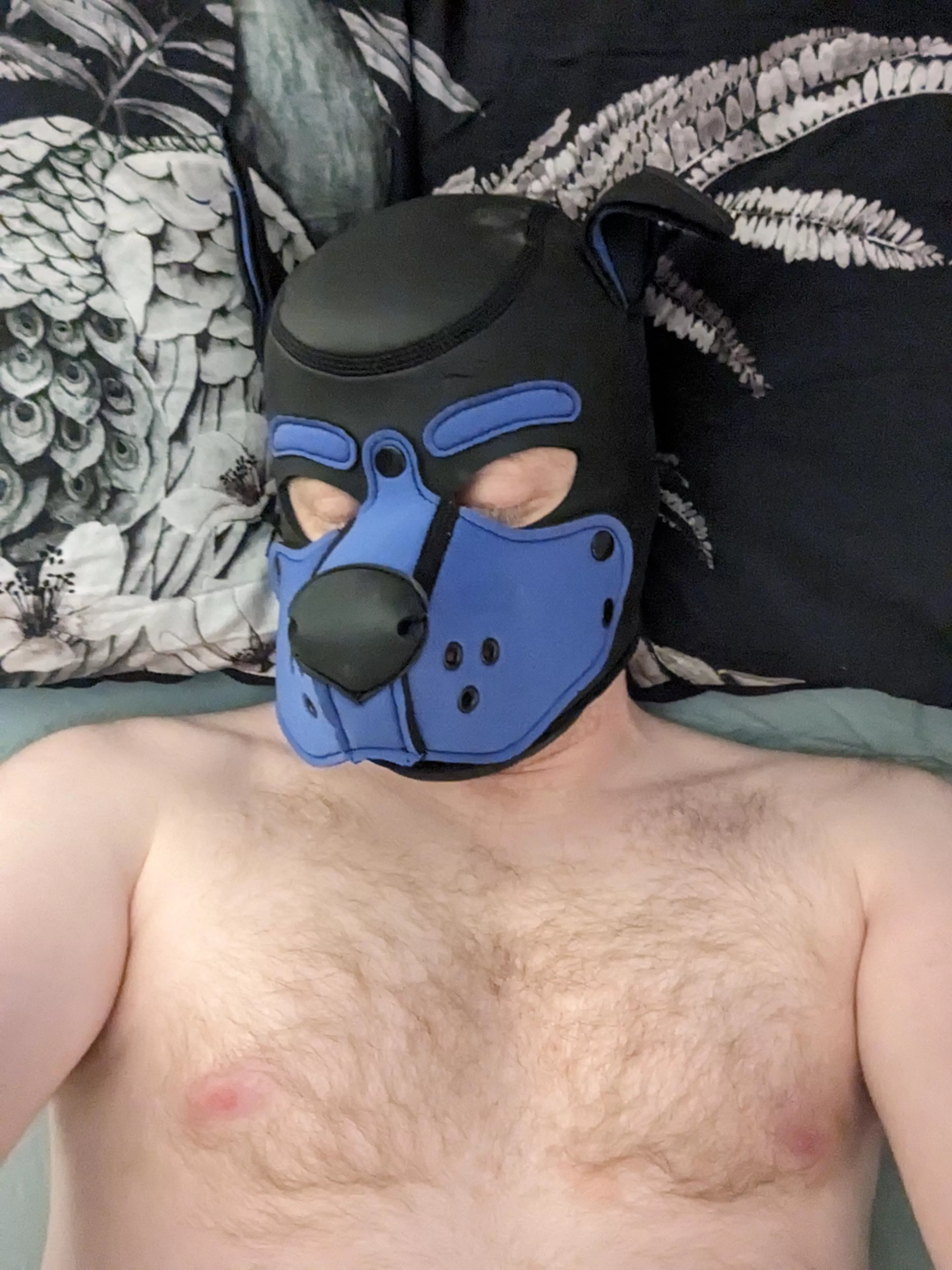 Someone is a sleepy pup