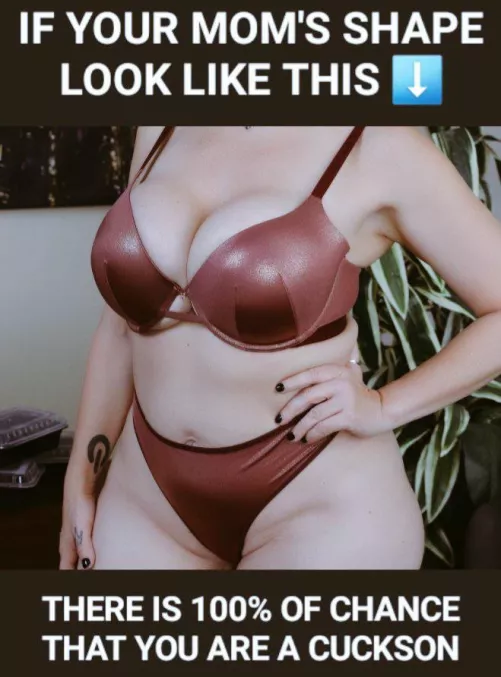 Your moms shape is a magnet for your black bullies 