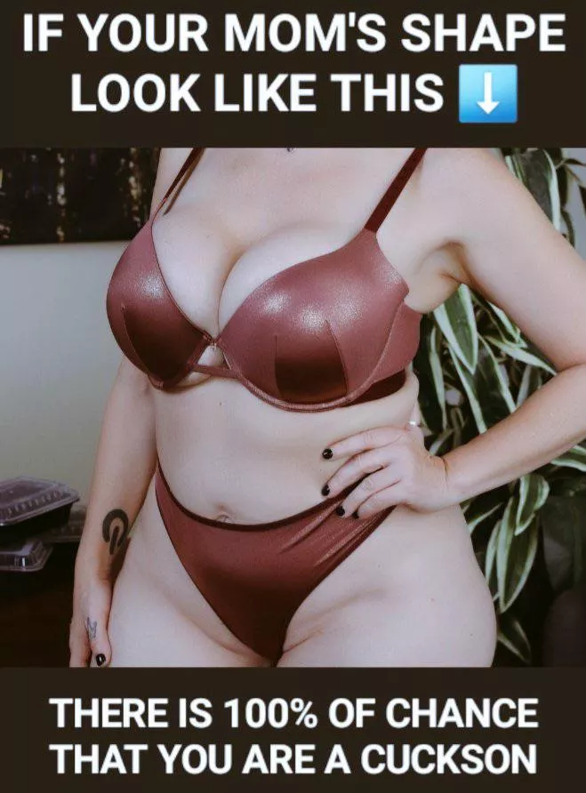 Your moms shape is a magnet for your black bullies 