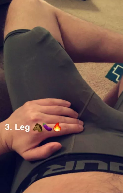 3. Leg 🐴🍆