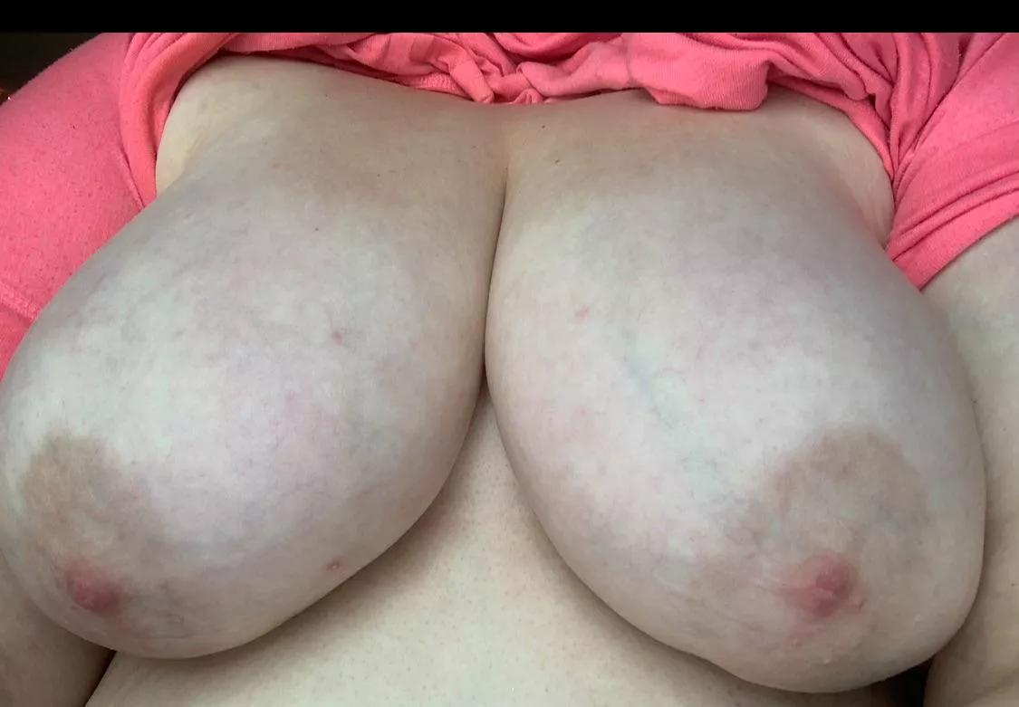 Do you like my fat horny teacher titties?