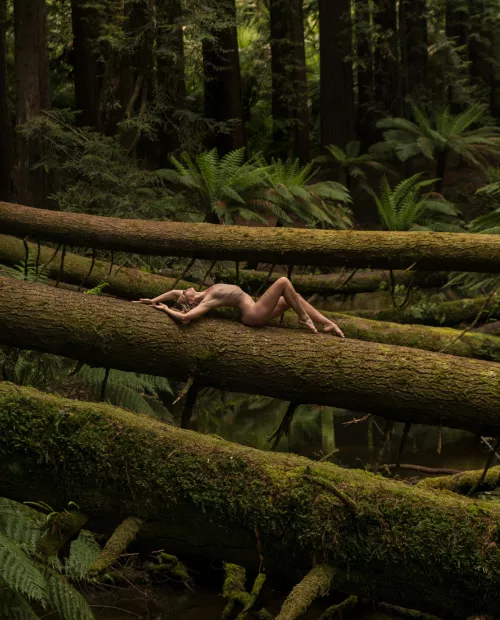 Forest fairy 🌿💚📷Damian Diviny 