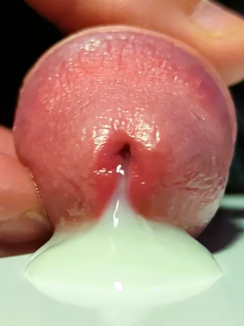 Managed to get a close up of my penis head during a pulse of cum.