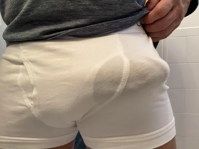 Tighty whitey bulging boner