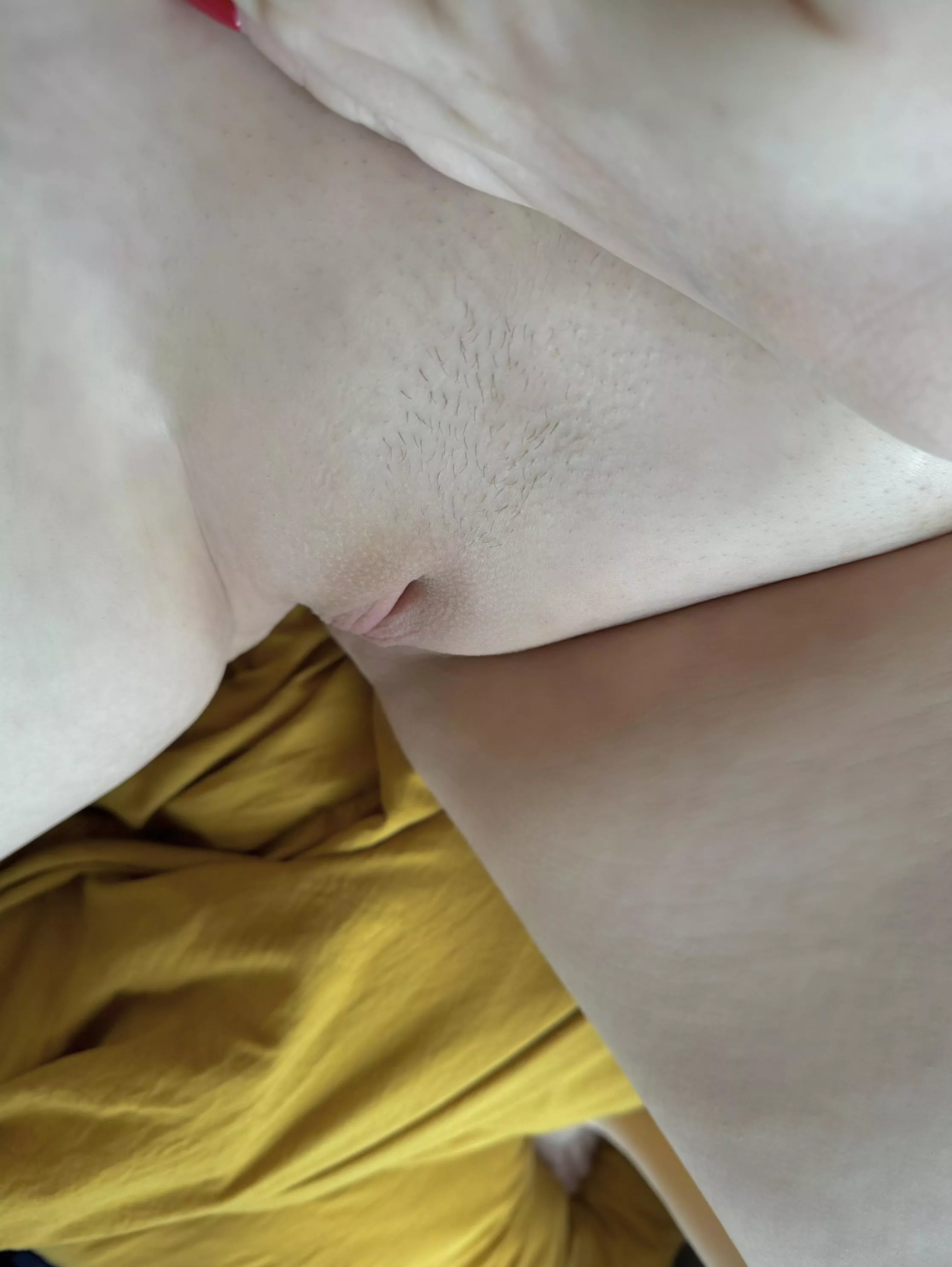 do me a favour and rate my pussy? :)