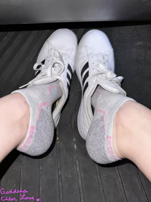 [F] Day 4. 🧦🫖 is going to be delicious.