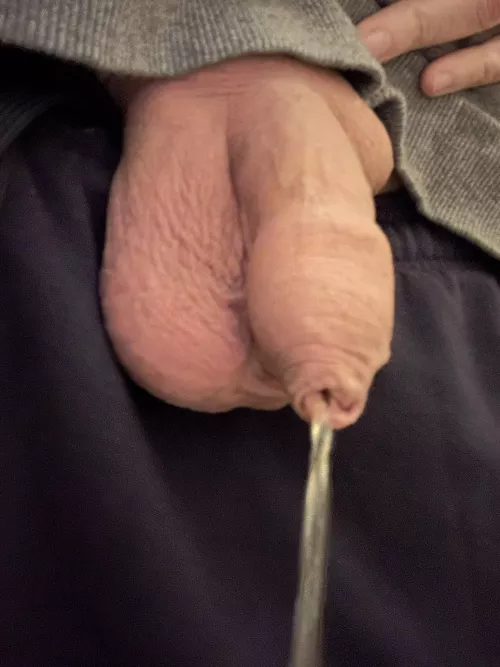 First Piss of the day. Any taker?