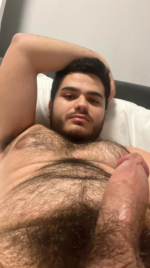 Hairy big boy 