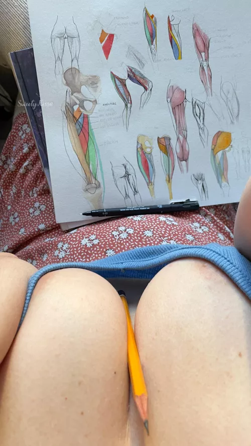 Let's study anatomy together 😜