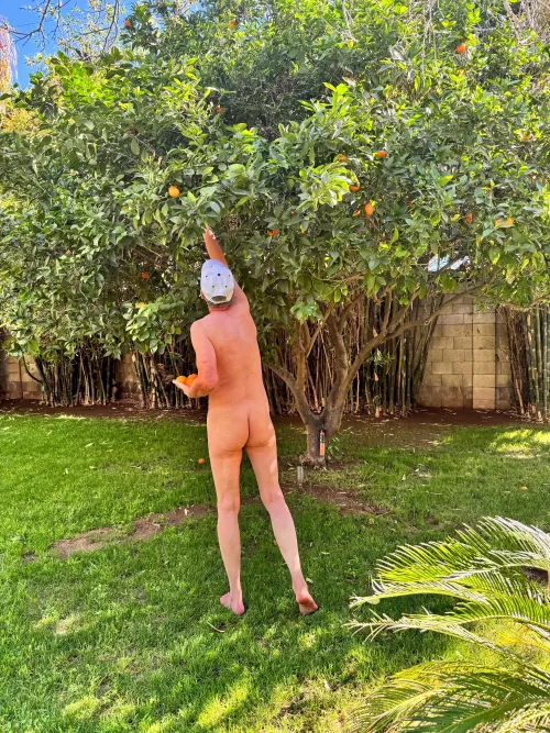 🌿Tree pose Tuesday🍀 A natural breakfast treat