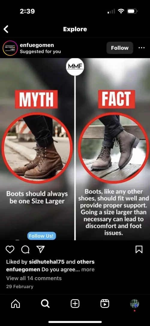 Anyone know what the pair on the left are