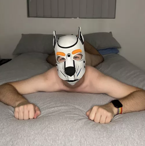 Bark! I stole your bed. It’s mine now ❤️