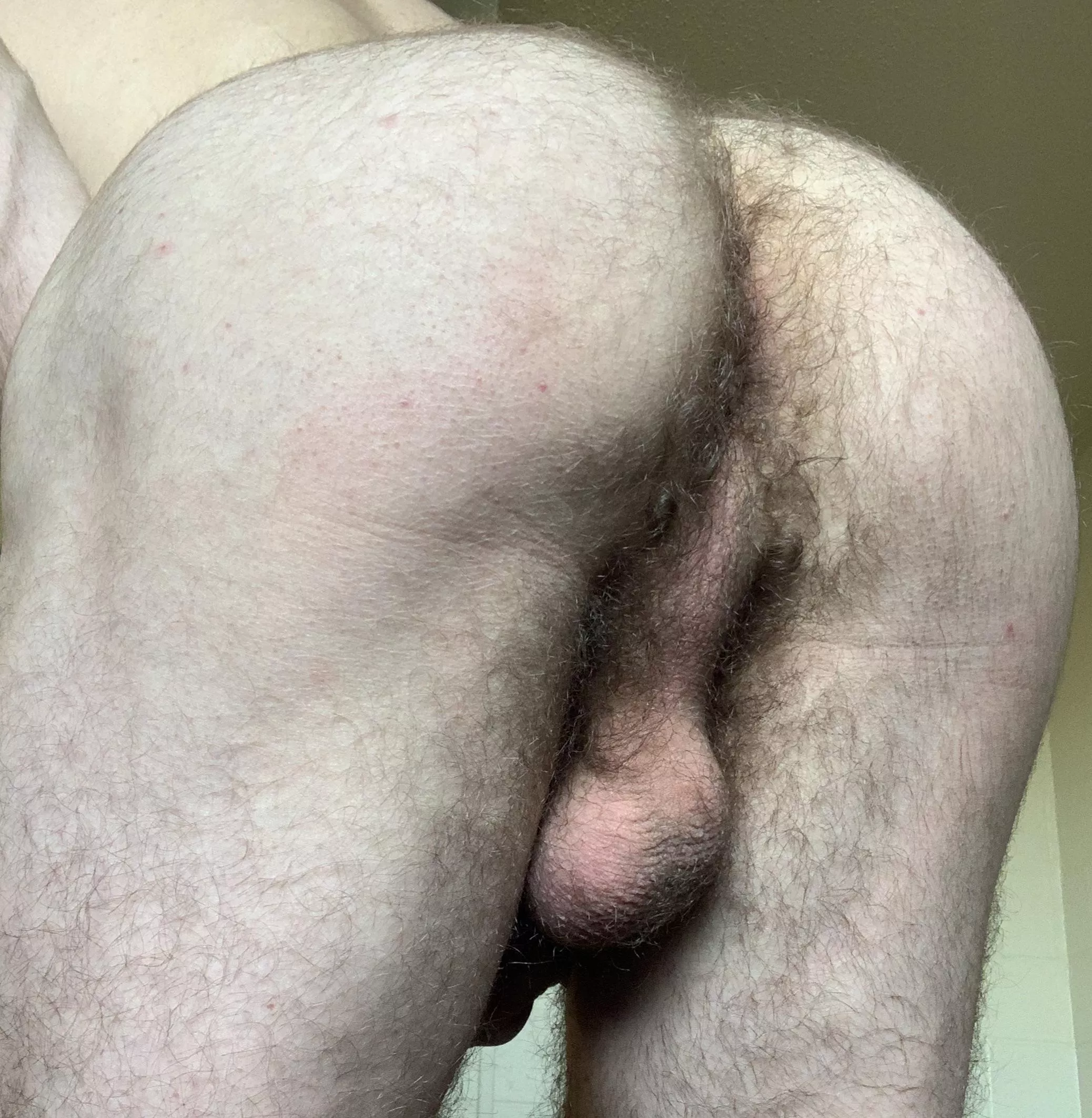 Because the first one was so well received 