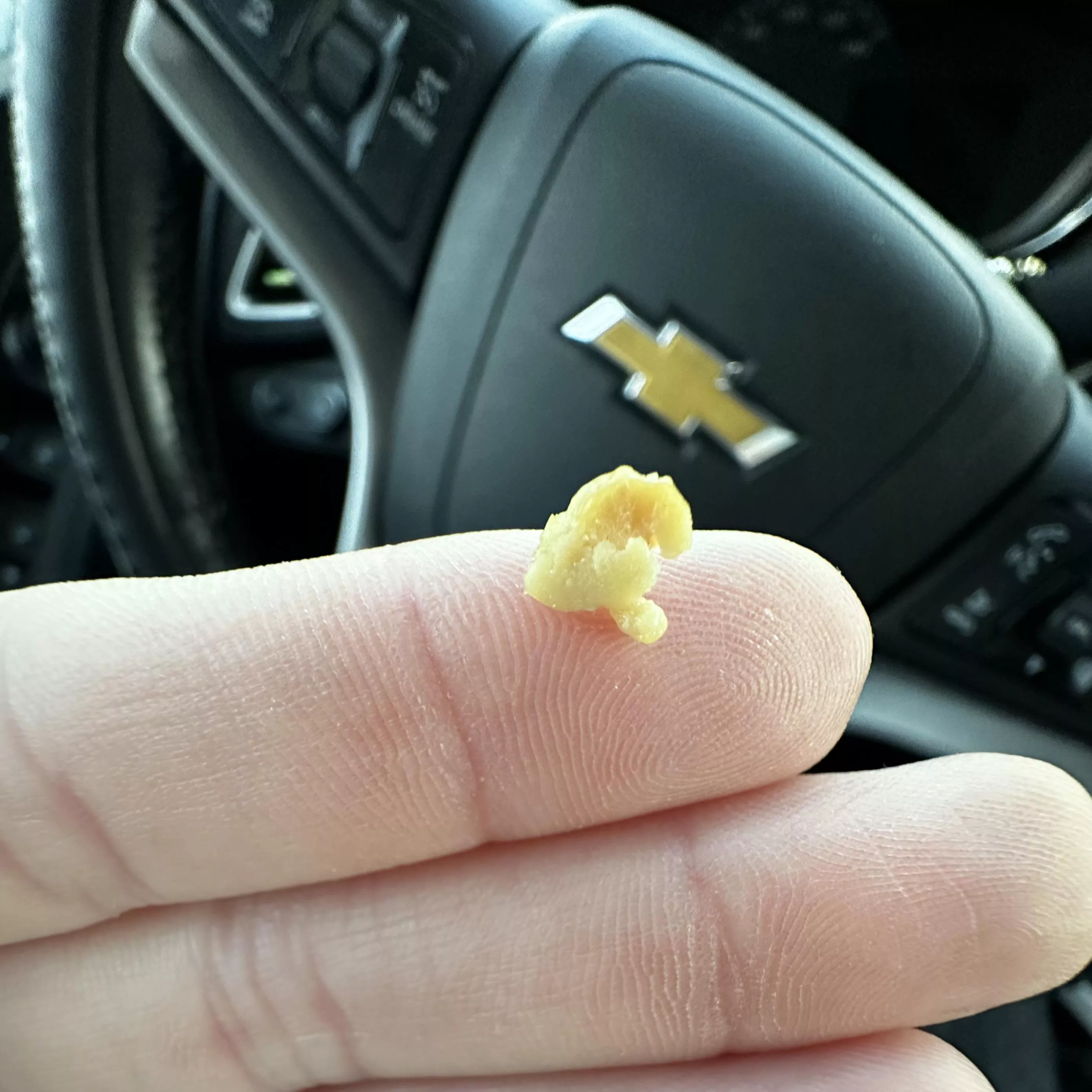 Coughed this up this morning