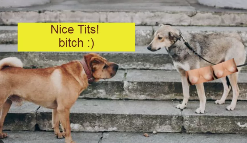 Happy Valentines day!