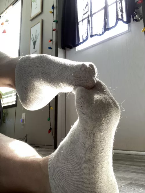 Sweet little ankle socks need a new home !