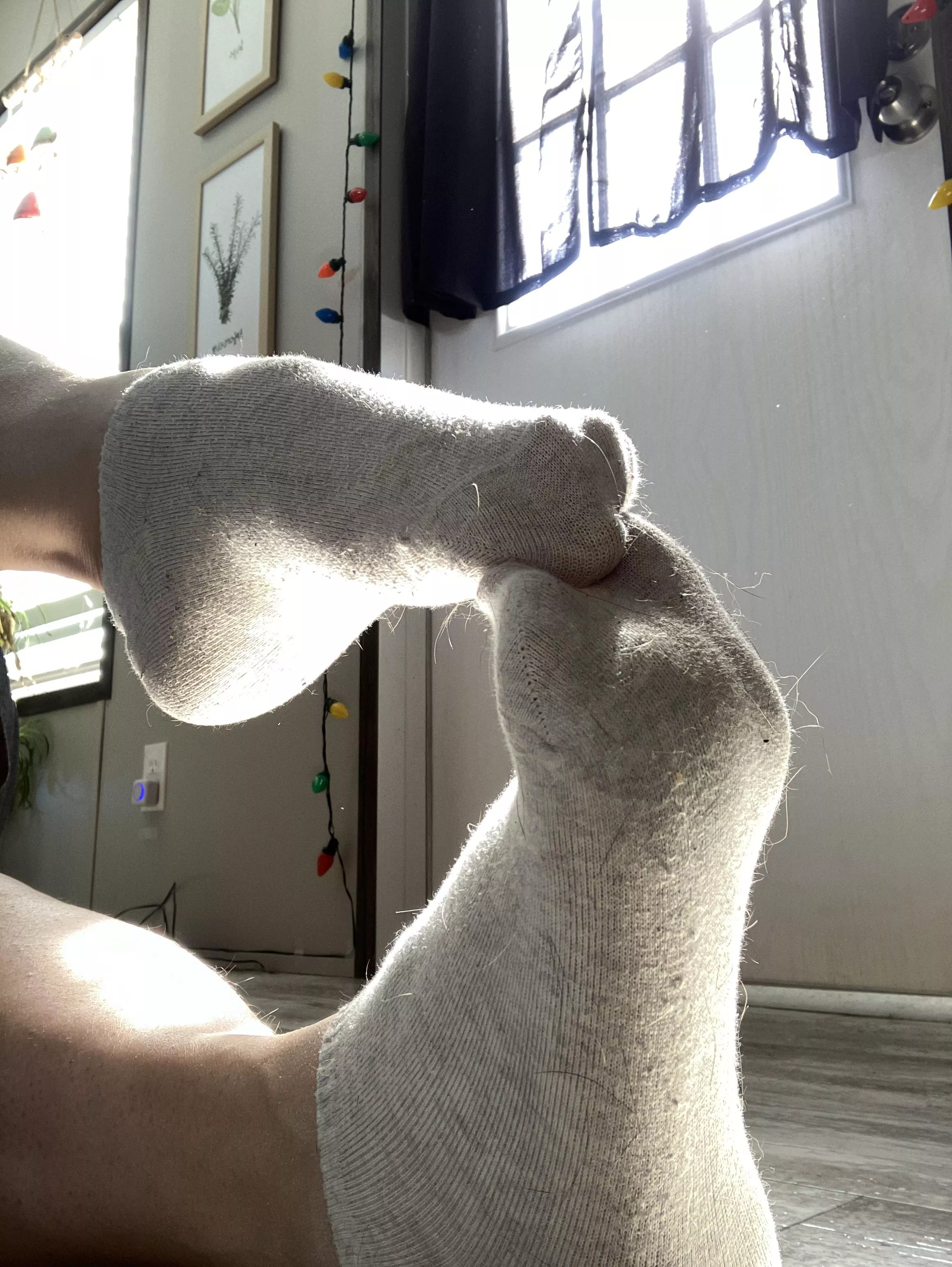 Sweet little ankle socks need a new home !