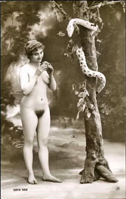 the French will make a postcard about ANYTHING if there are nude women in it