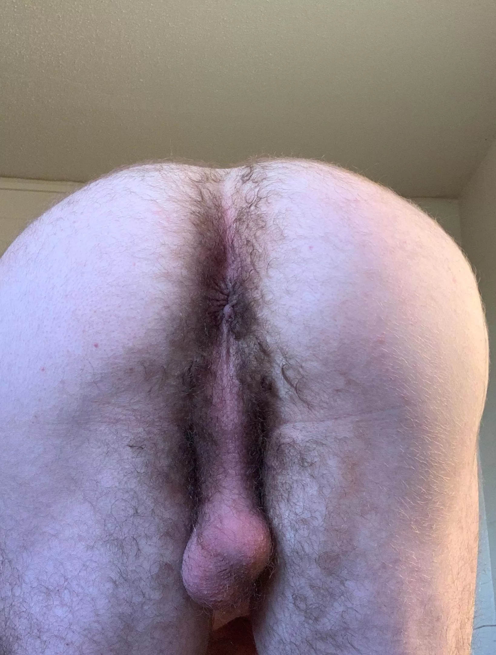 Was debating posting this. What do you guys think? 