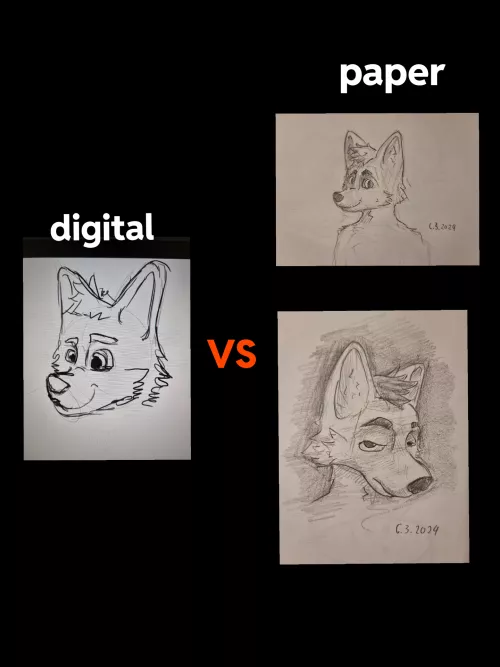 What do you use for digital drawing ? I mean device, not software. Because I suck at drawing on the computer 