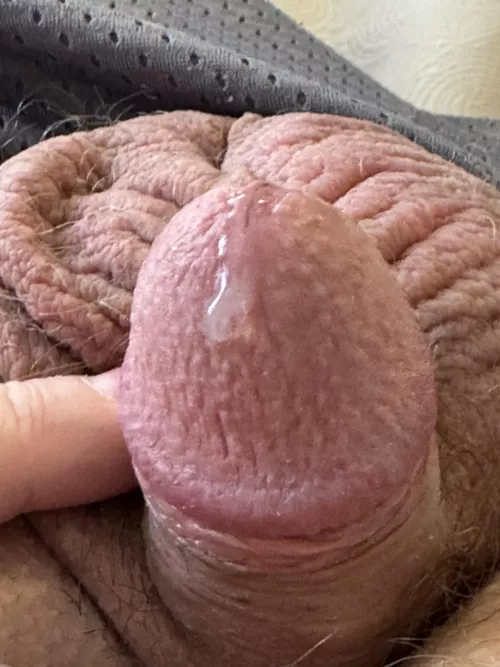 Been vibing my soft cock - 54 bi-curious