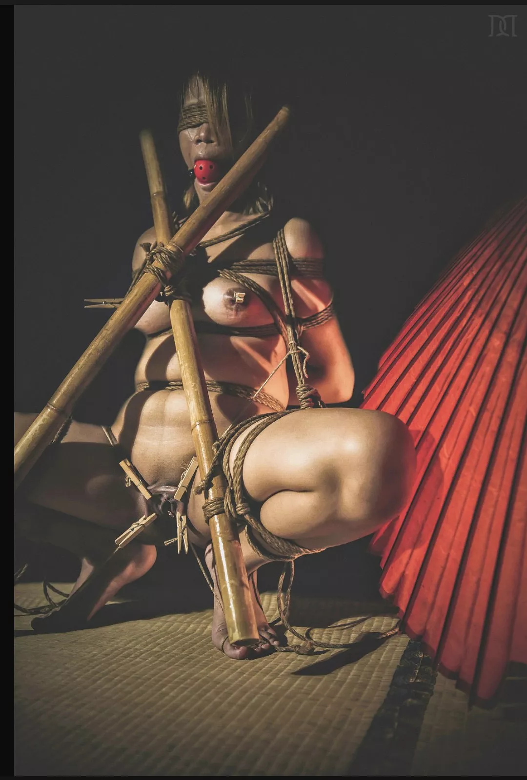 Not much compares to being bound, legs spread and vulnerable, gagged to muffle your moans, blindfolded to increase your anticipation, and clothes pins clamped to your nipples and spread your labia to really add some exciting pain and sense of vulnerabili