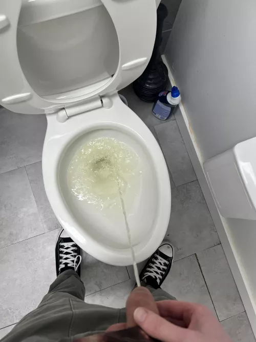 Wanna replace the toilet?!