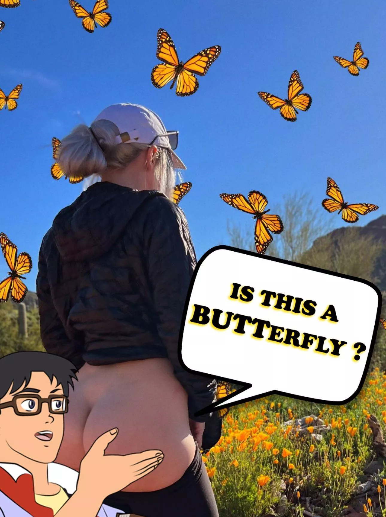 Butterflies all around 