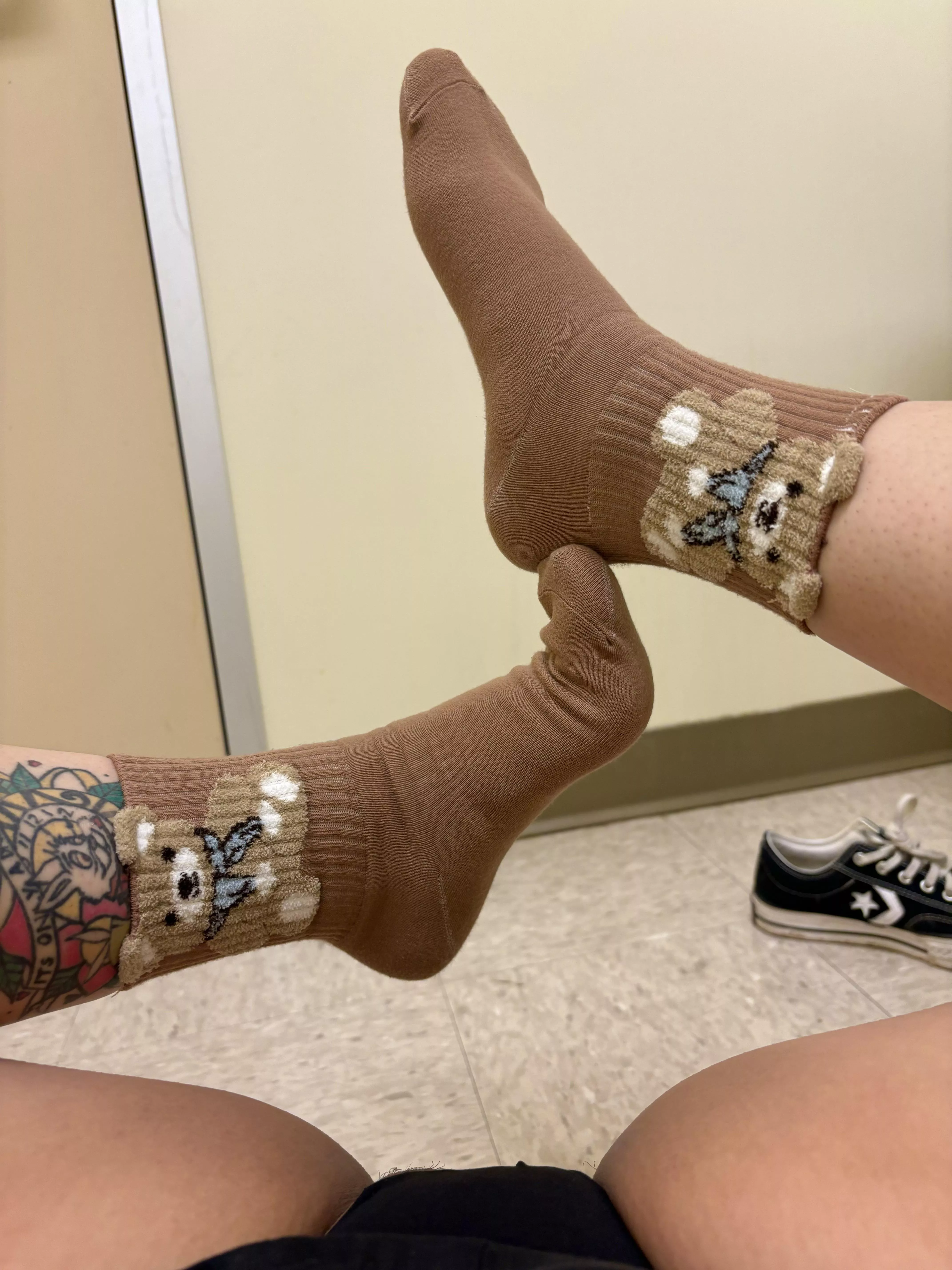 Cute teddy bear socks