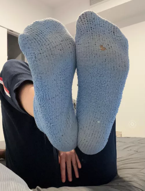 Female [selling] Where my fuzzy lovers at?