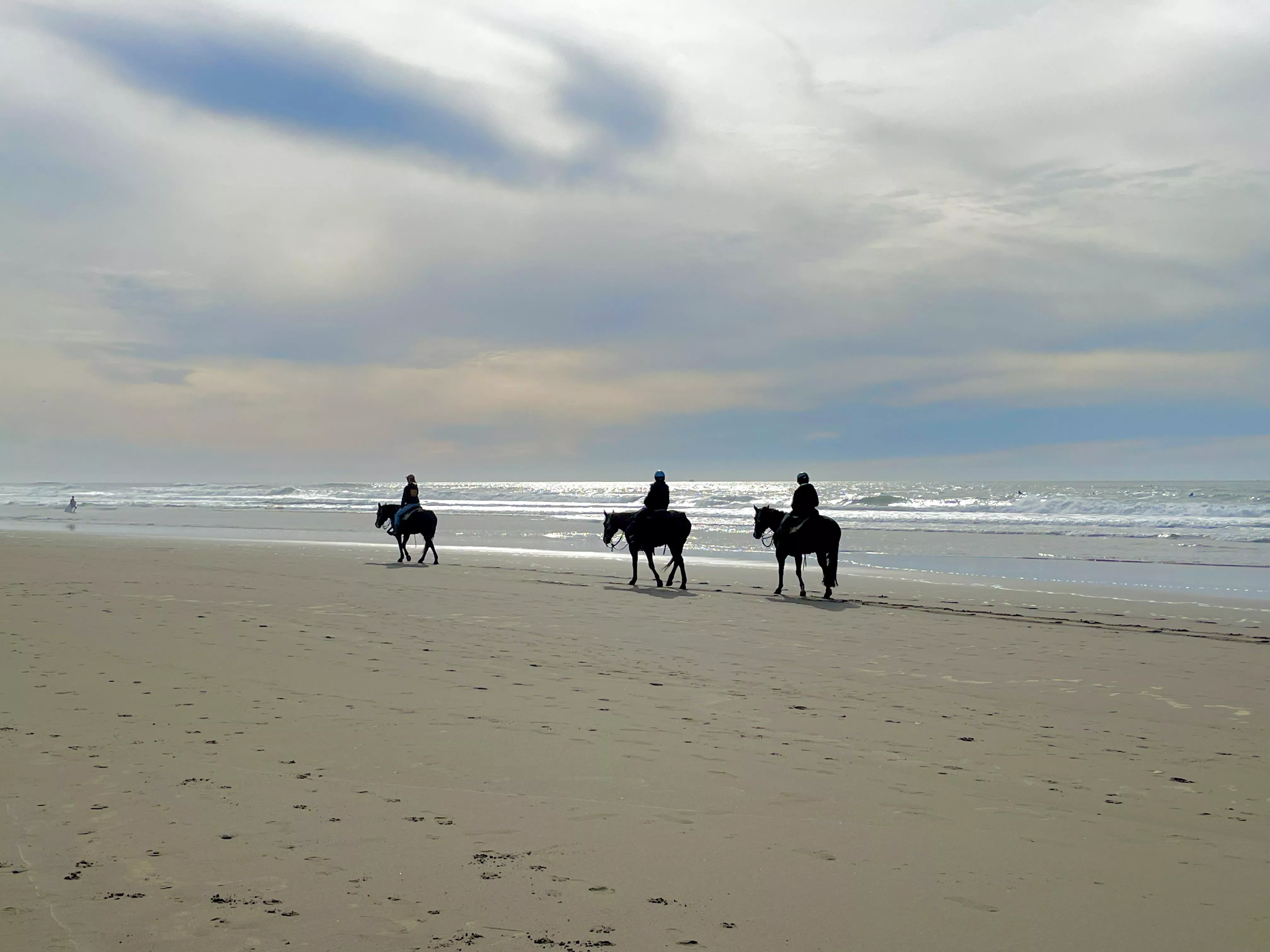 Horses on the beach
