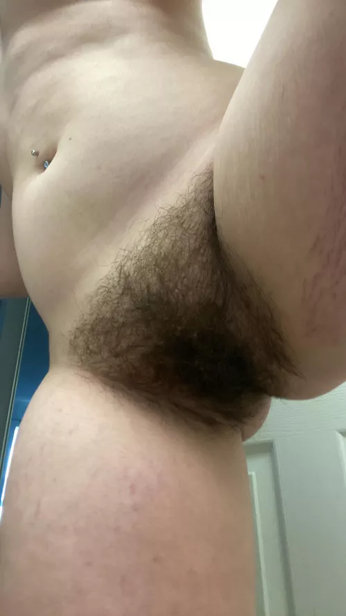 should i trim my bush or keep it full?