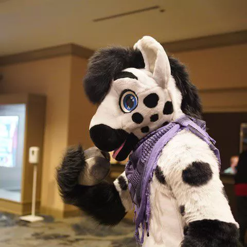 Who’s your fursuit crush? Here’s mine: