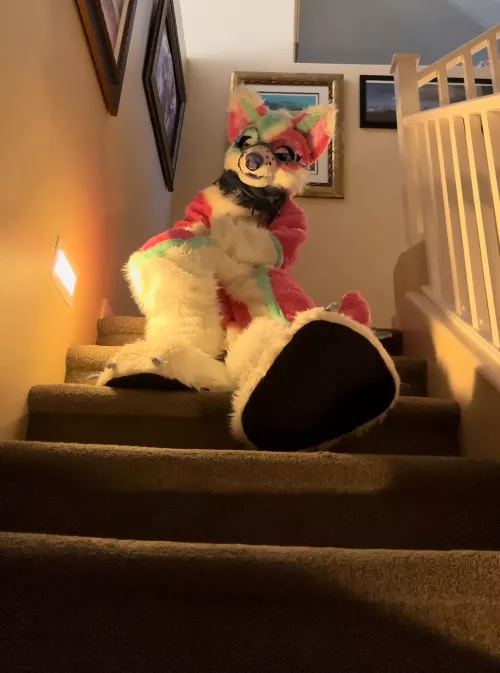 You said Milkbone? I’m listening..