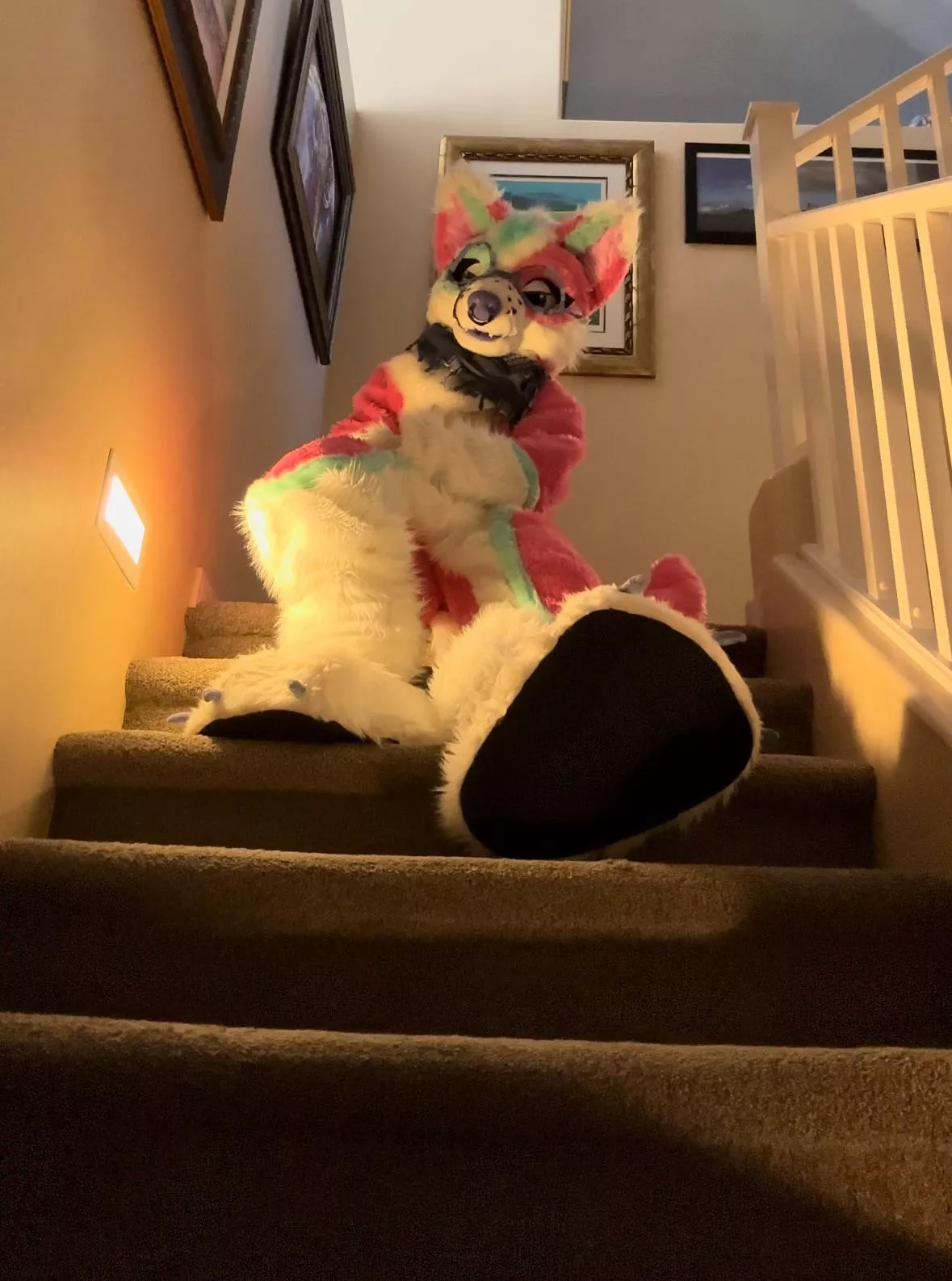 You said Milkbone? I’m listening..