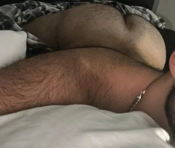 24 in shape discreet Lebanese bottom with a big furry ass. Let’s have fun, 👻Snapp me: AFurFun