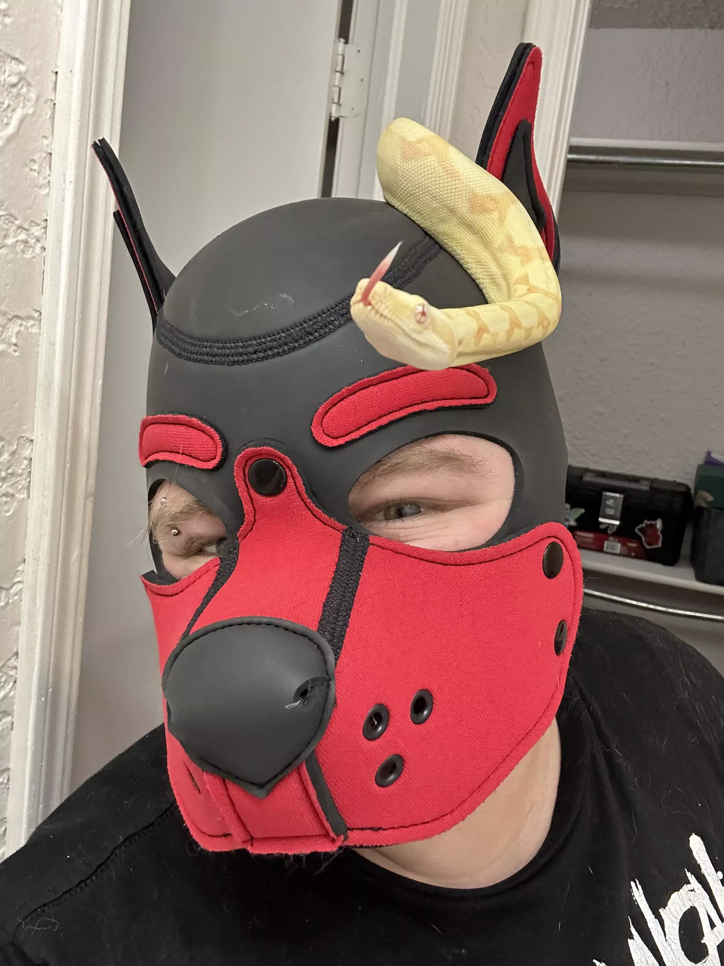 Advice? I’m a pre-op trans pup and I want to take sexy puppy pictures without feeling ashamed of my chest! Any ideas? 