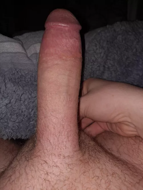 Any good little subs wanna give up their holes to a real dick? Dms open~
