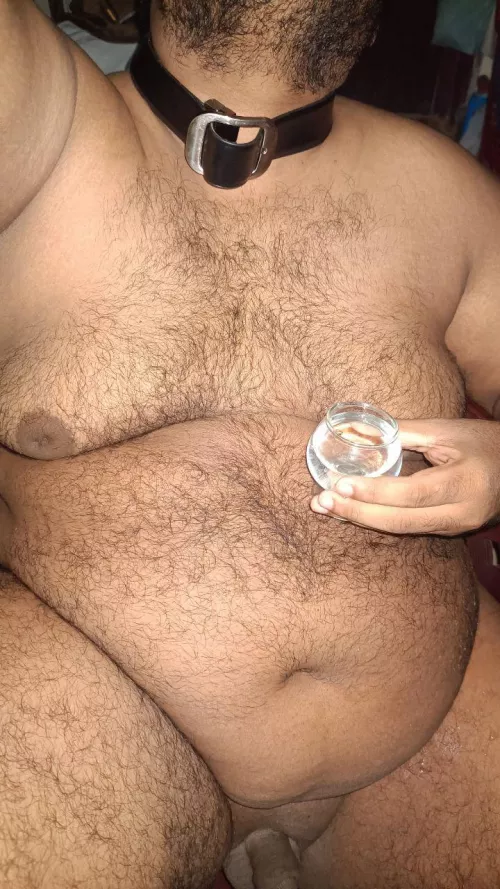 Gentle sub. No ass play. Your big piggy.... 