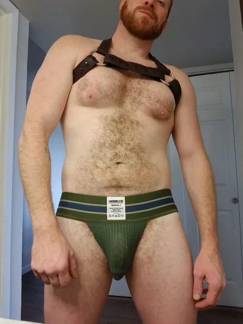 Jock and harness 
