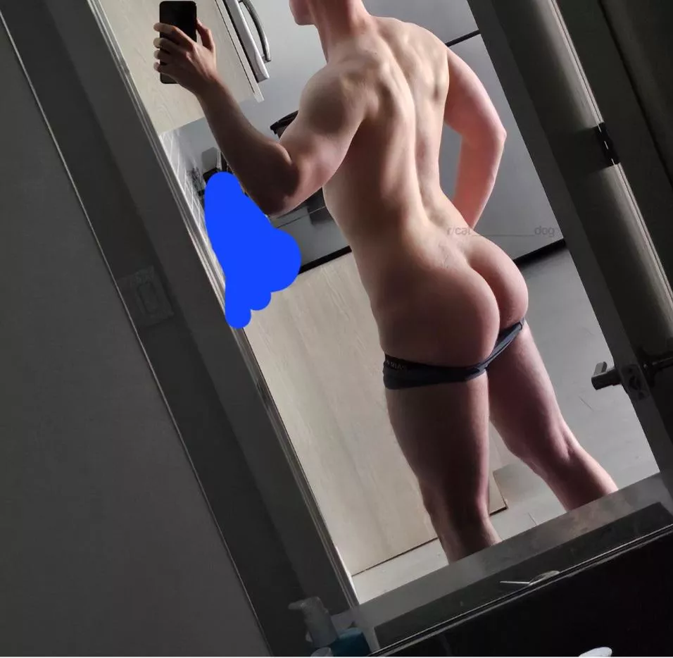 Anyone wanna smell my post-leg day undies? 