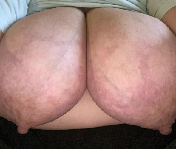 These huge milf boobs are made to be worshipped upon and sucked every day. 