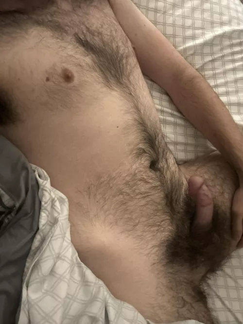 Can’t sleep woke with a hard cock