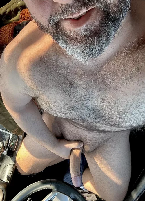 Dads love being in the drivers seat, taking control, and being in charge. (43)