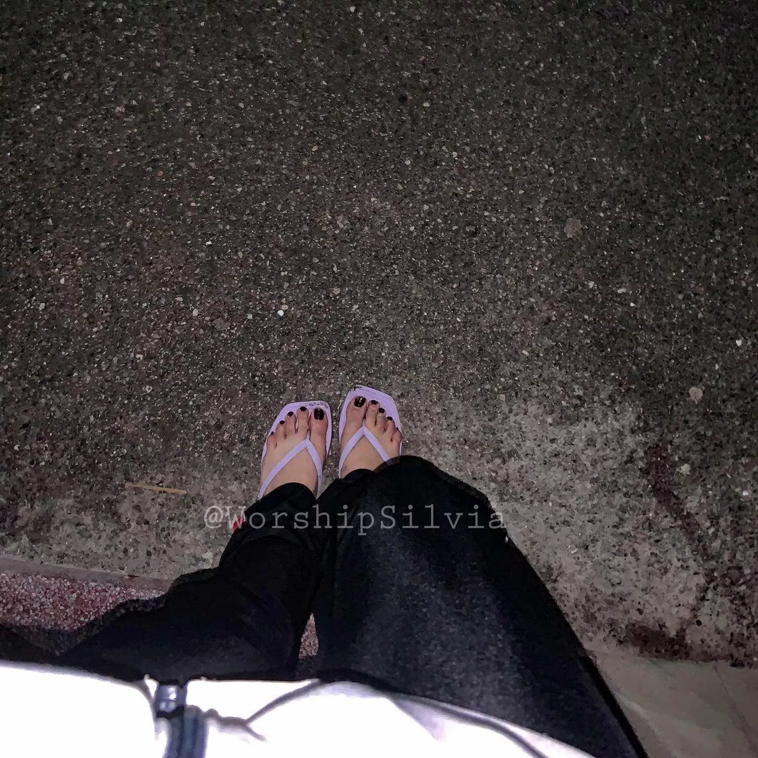 Would you worship them?