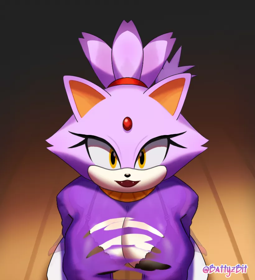 Blaze the cat Animation (Link below, artist BattyzBit)
