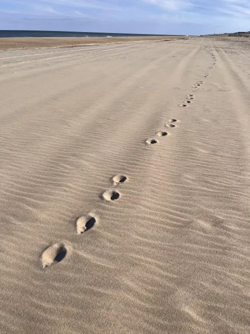 Can anyone help ID these tracks?